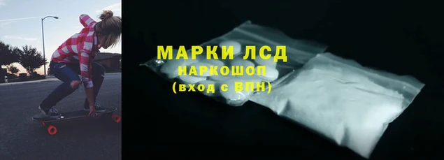 крисы Балахна