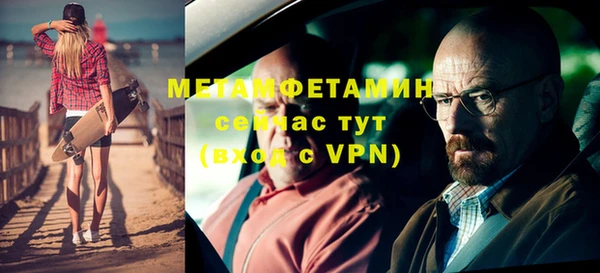 прущие грибы Беломорск