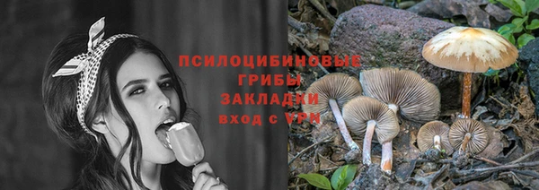 прущие грибы Беломорск