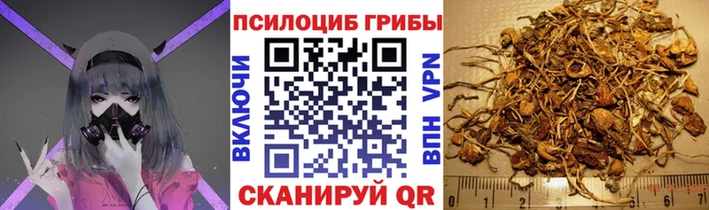 что такое   Яхрома  Галлюциногенные грибы MAGIC MUSHROOMS 
